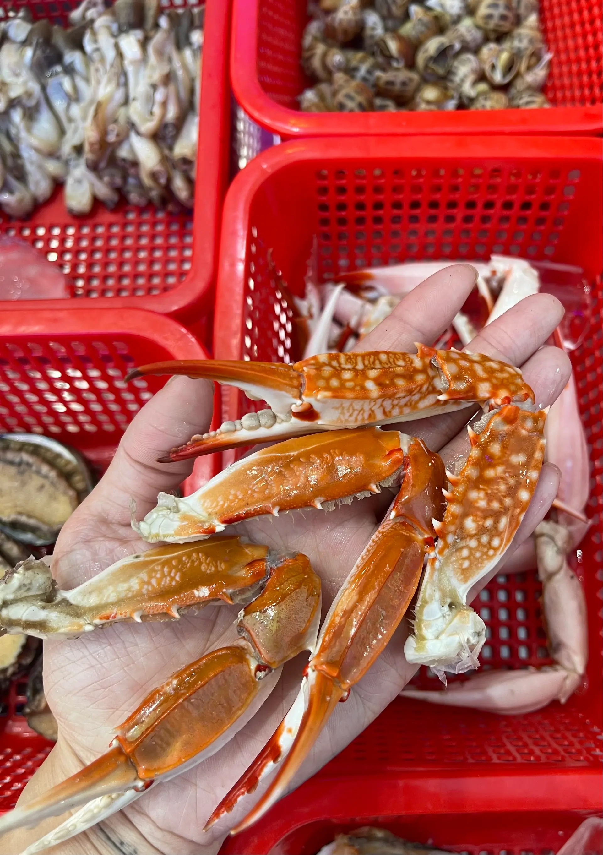 Hình ảnh Càng ghẹ