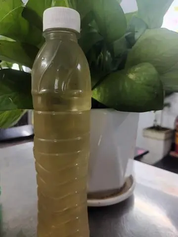 Hình ảnh Nha Đam Đường Phèn Lá Dứa