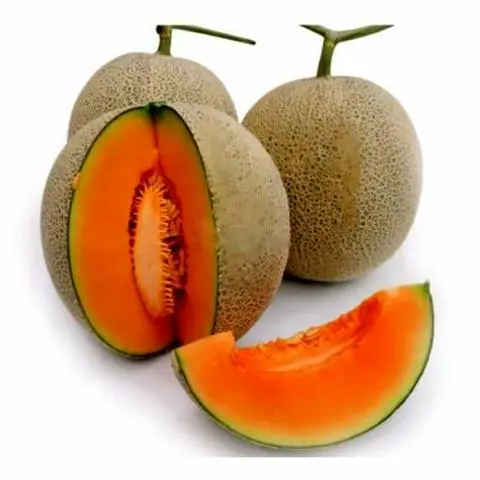 Hình ảnh Ép dưa lưới đường phèn