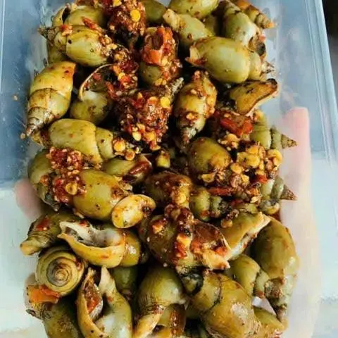 Hình ảnh Ốc Cà na