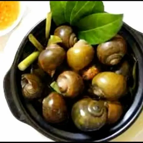 Hình ảnh Ốc lác hấp tiêu