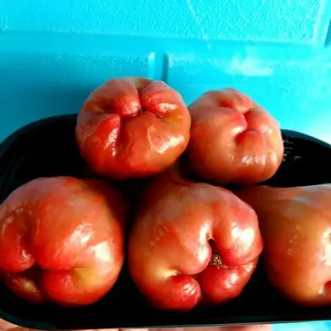 Hình ảnh Mận an phước