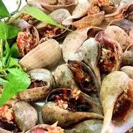Hình ảnh Ốc muỗng nướng mắm ớt
