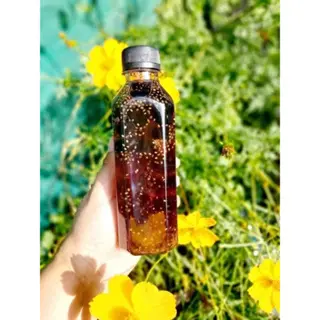 Hình ảnh Sâm hạt chia nhà nấu