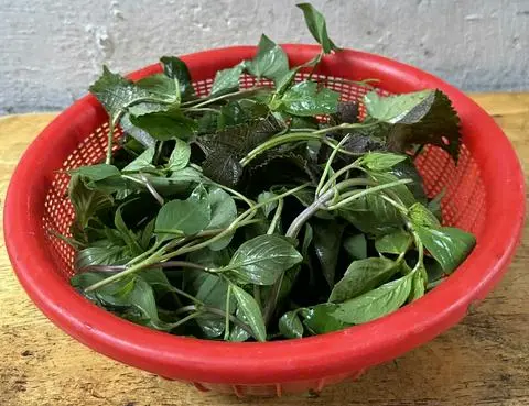 Hình ảnh Rau 