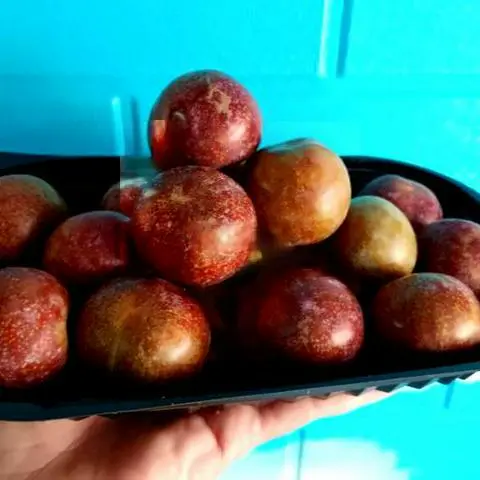 Hình ảnh Mận Hà Nội