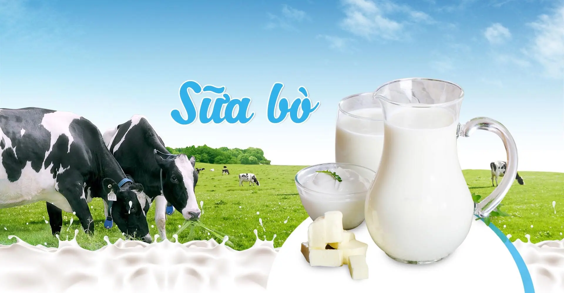 Hình ảnh SỮA TƯƠI