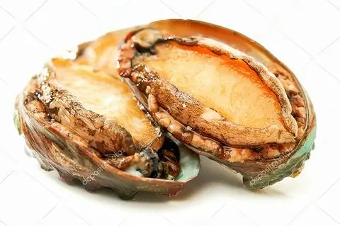Hình ảnh Bào Ngư