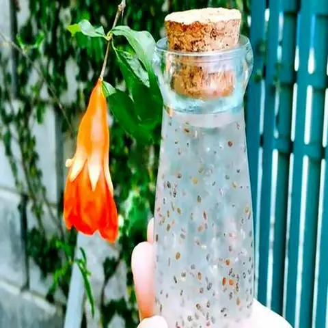 Hình ảnh Mủ Trôm Hạt É