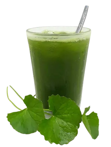 Hình ảnh Rau má