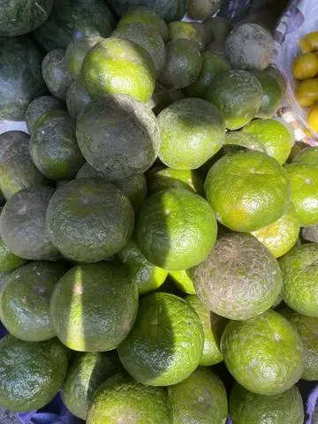 Hình ảnh Cam Sành 1kg 