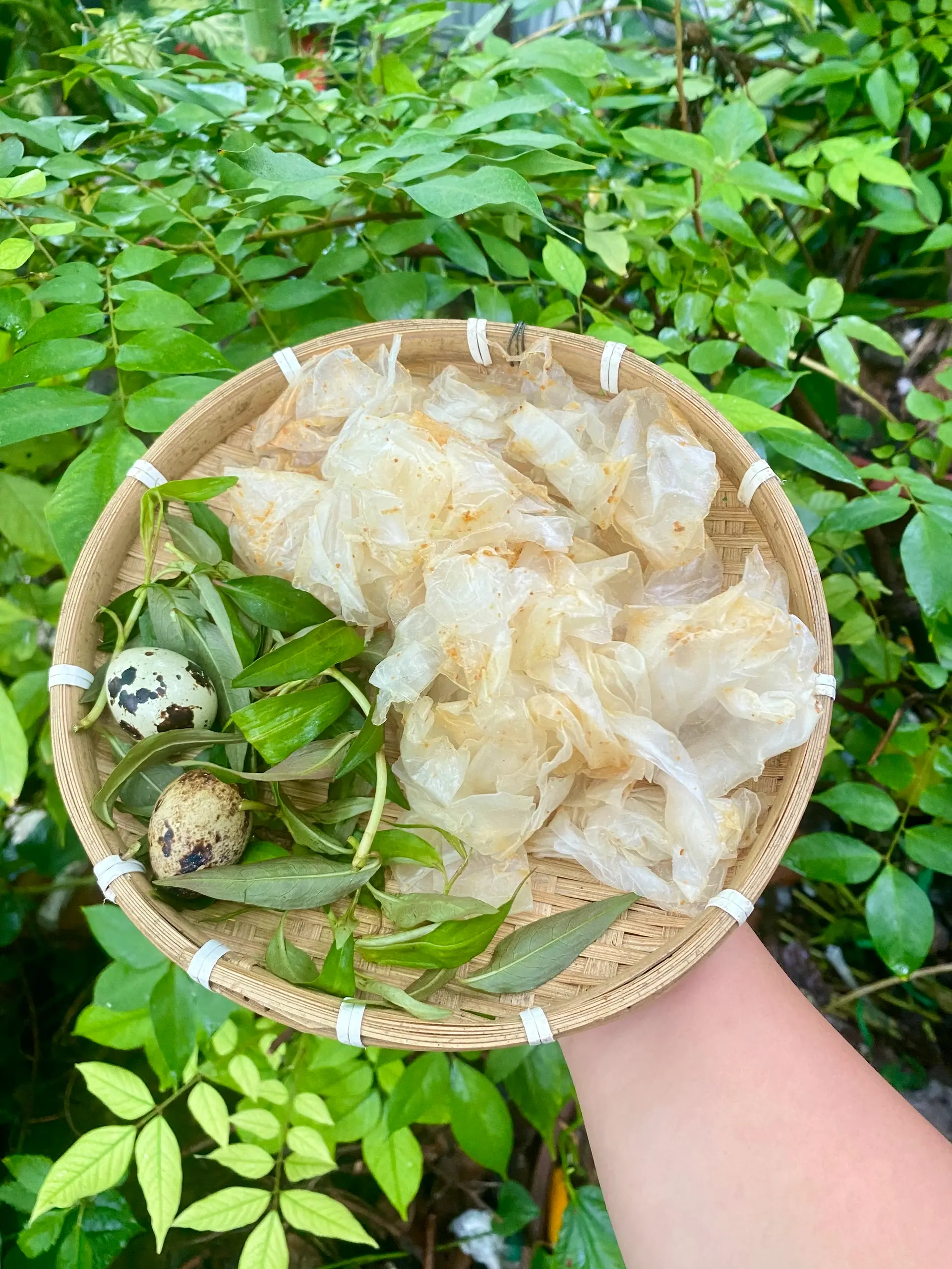 Hình ảnh Bánh Tráng Trộn - Muối Tắc Tuổi Thơ