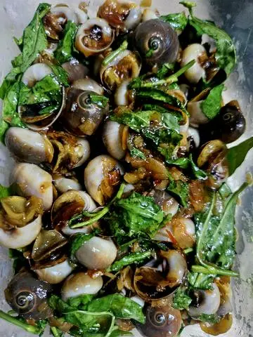 Hình ảnh ốc mỡ