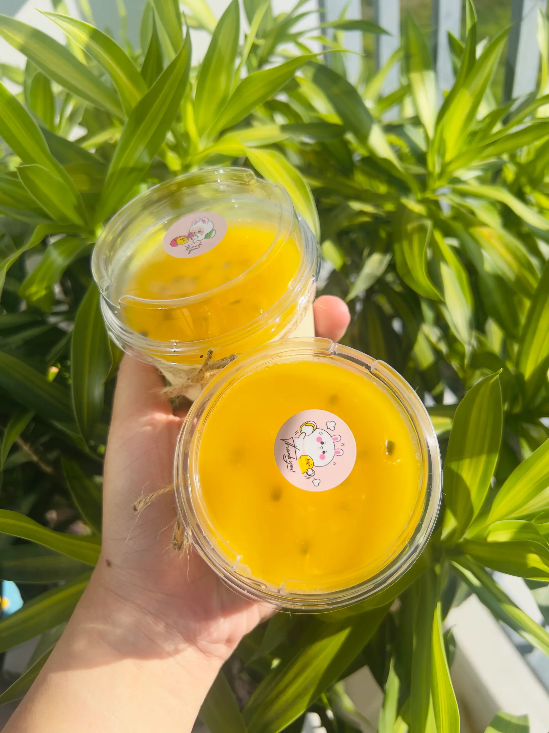 Hình ảnh CHEESE CAKE CHANH DÂY