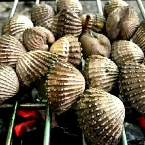 Hình ảnh Sò huyết nướng mọi