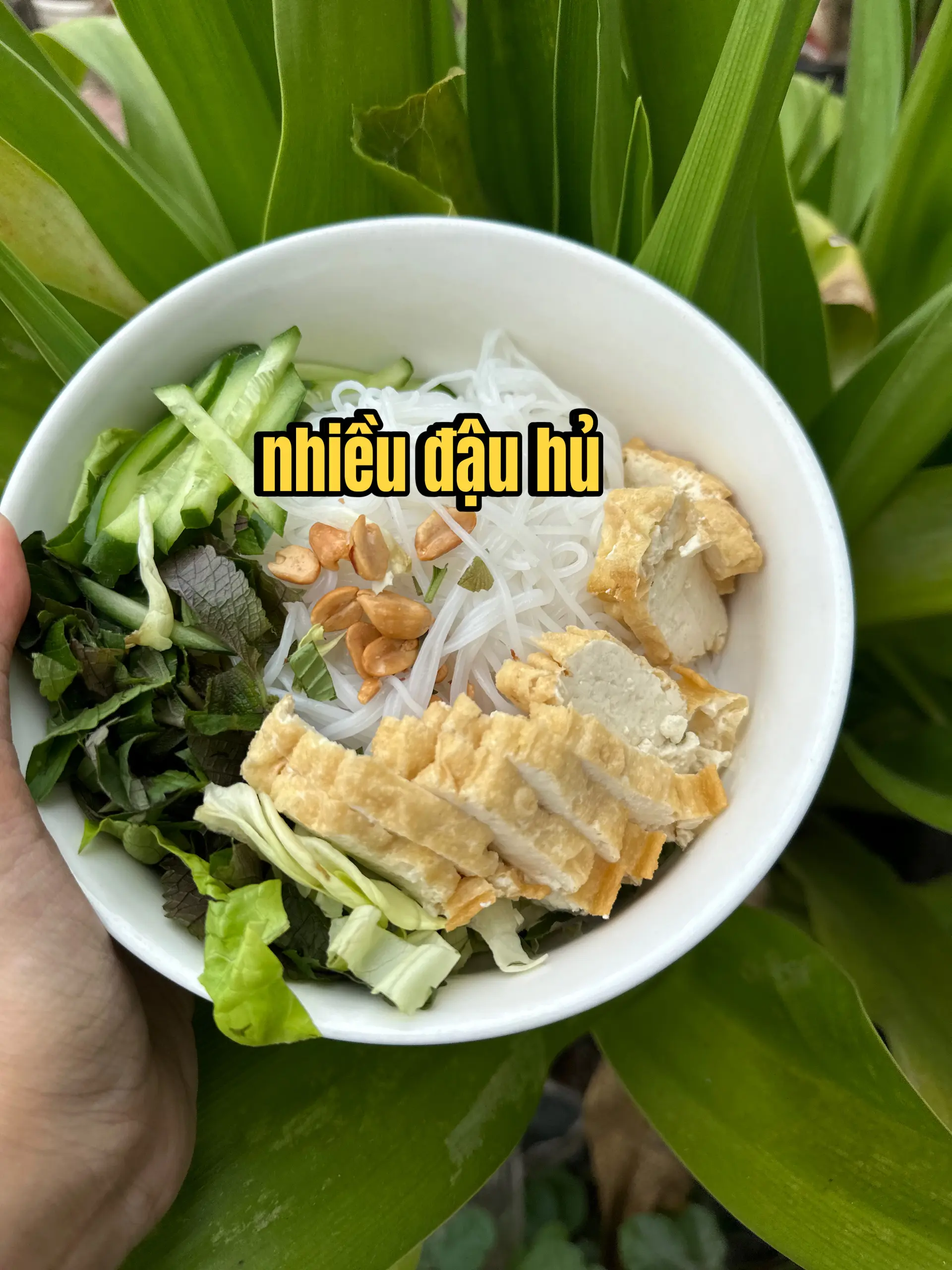 Hình ảnh Bún nước tương đậu hủ - nhiều đậu hủ