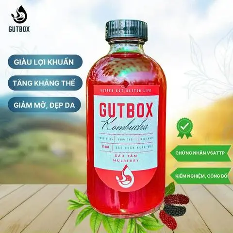 Hình ảnh Kombucha dâu tằm