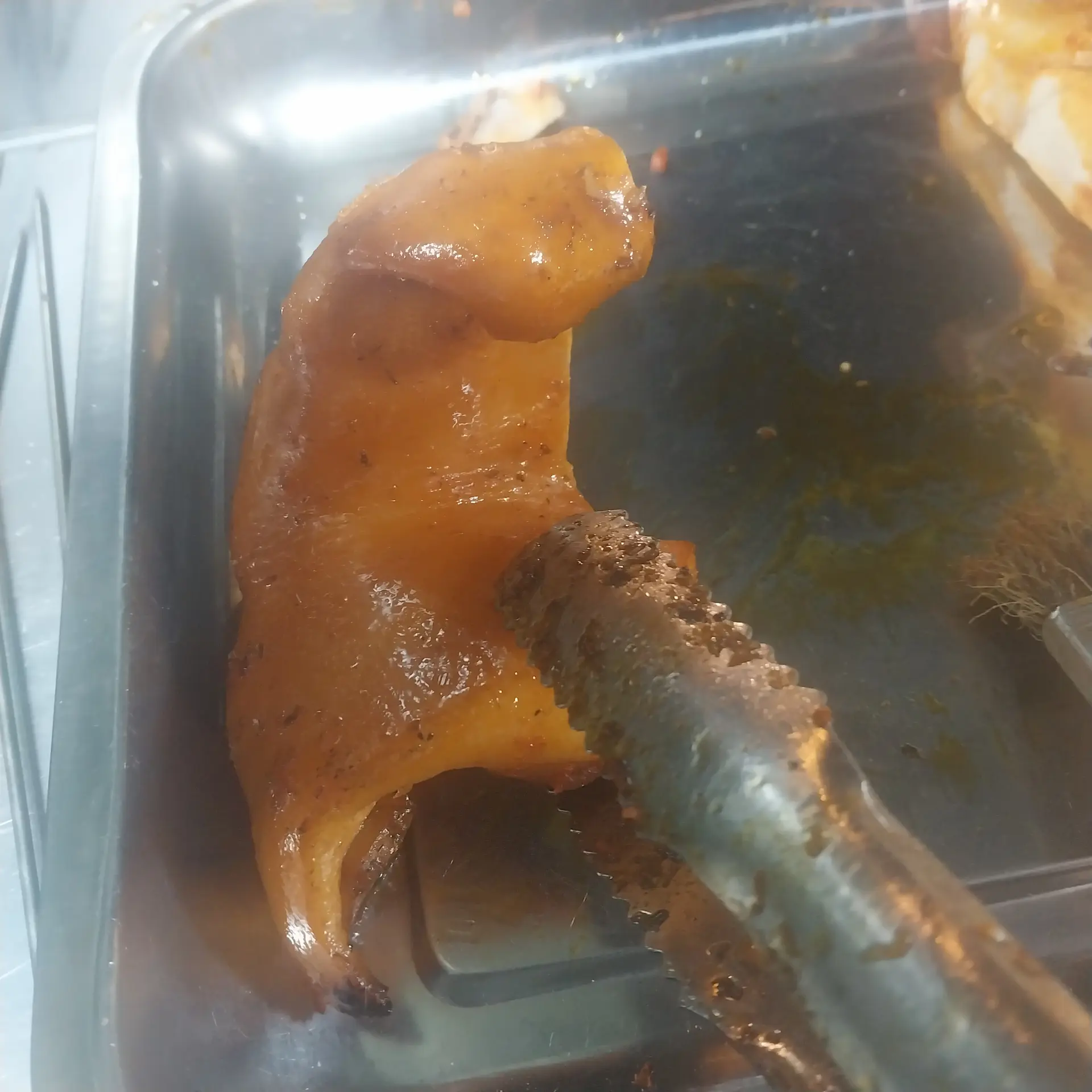 Hình ảnh nửa tai heo 