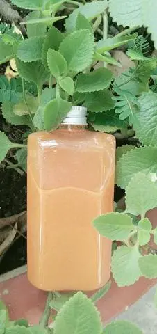 Hình ảnh Detox Thơm