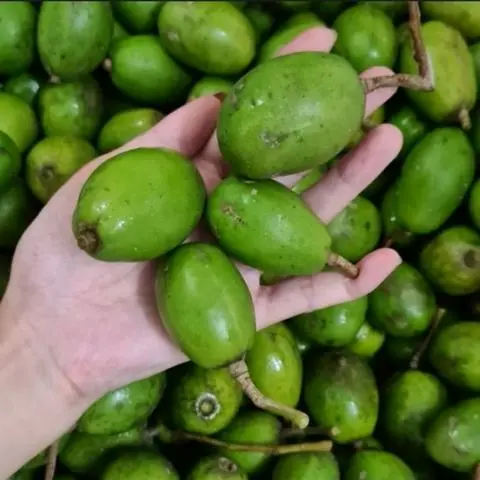 Hình ảnh Cóc bao tử 500g