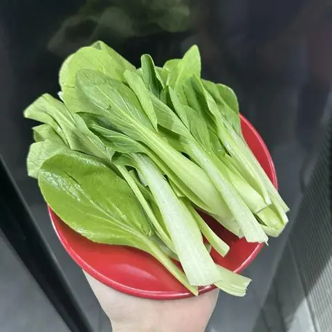 Hình ảnh Rau
