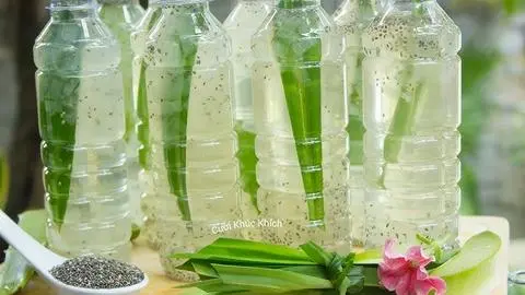 Hình ảnh Nha đam hạt chia