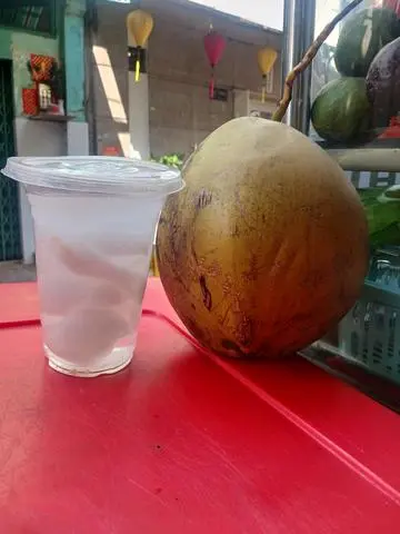 Hình ảnh dua trái 