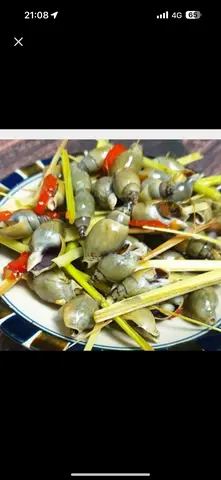 Hình ảnh Ốc Cà Na hấp sả