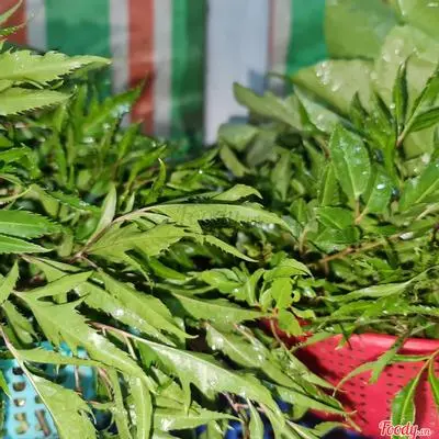 Hình ảnh Rau Thêm Phần Nhỏ (More Small Vegetable)