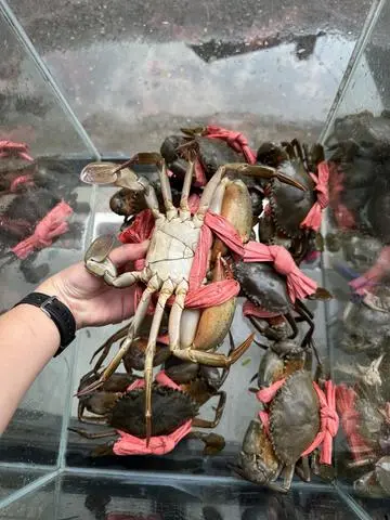 Hình ảnh 1Kg Cua Thịt Cà Mau - Chưa hấp