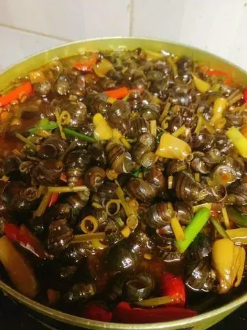 Hình ảnh Ốc Hút Miền Trung Phần Lớn 