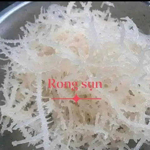 Hình ảnh rong sụn