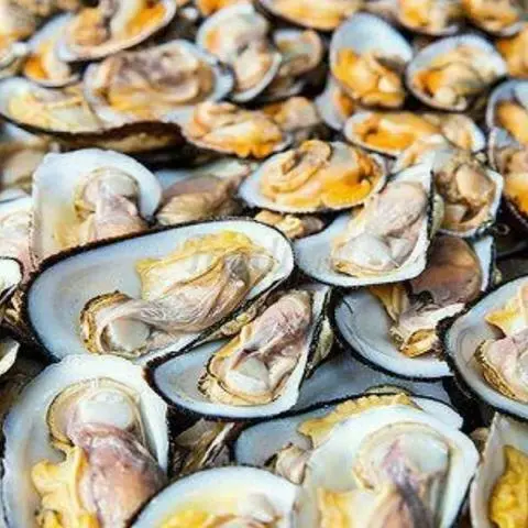 Hình ảnh Sò dẹo hấp sả