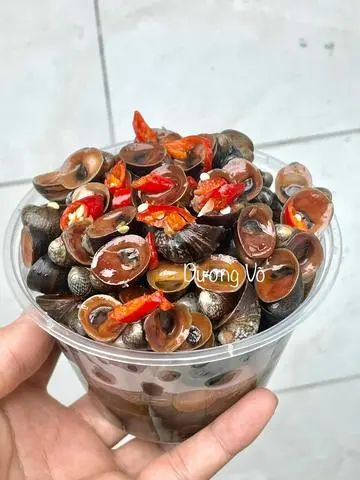 Hình ảnh Ốc Dừa Cồ Rang Muối