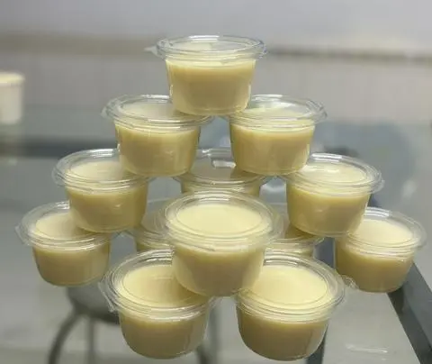 Hình ảnh 10 Đậu hũ singapore nguyên bản 100g