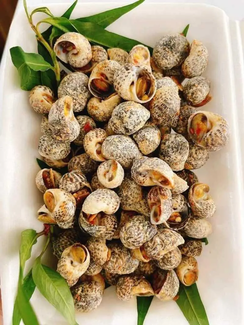 Hình ảnh Ốc Bông Rang Muối 