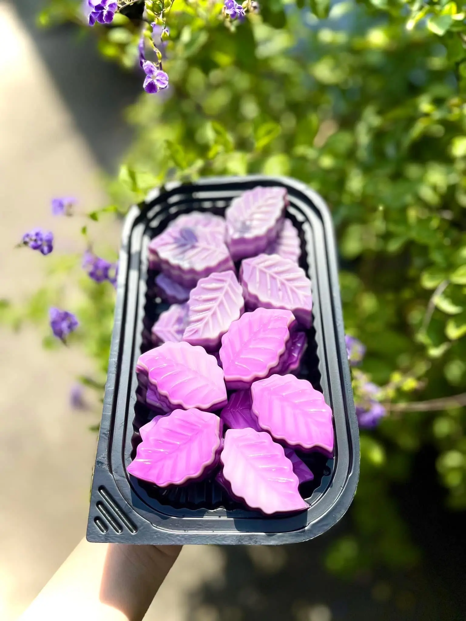 Hình ảnh Set 10 Hoa Lá Khoai Môn