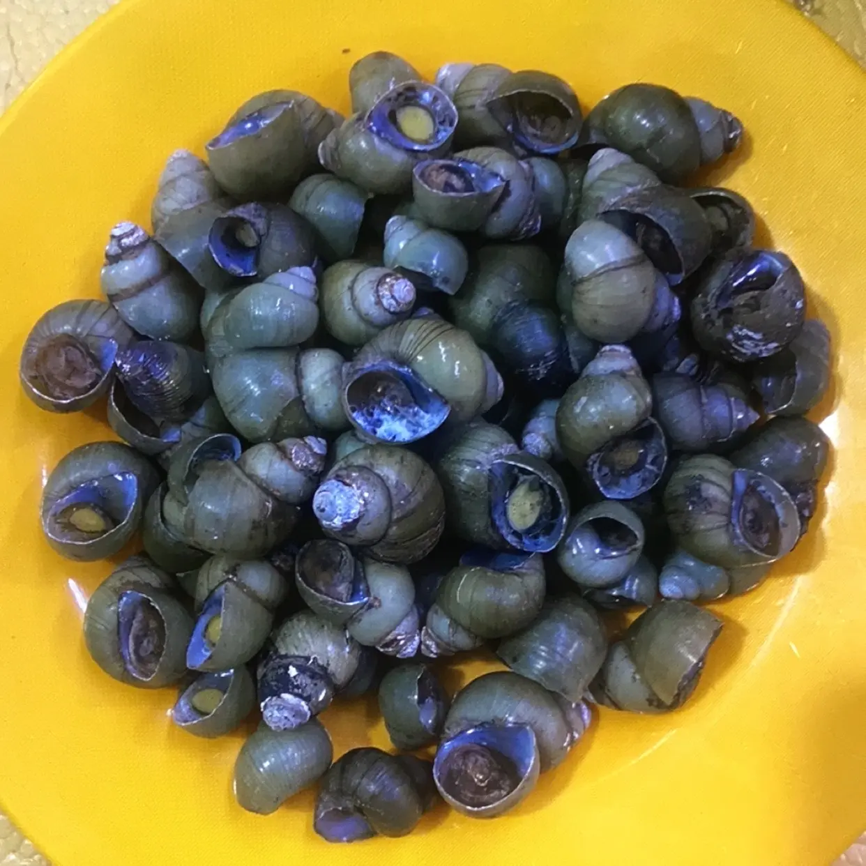 Hình ảnh ốc Gạo hấp xã 