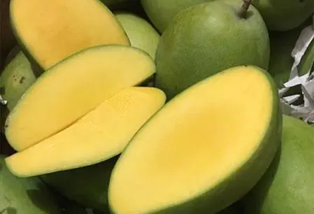 Hình ảnh Nước Ép Xoài