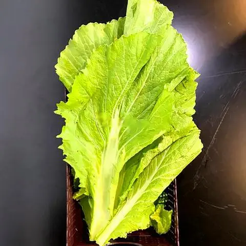 Hình ảnh Cải đắng thêm
