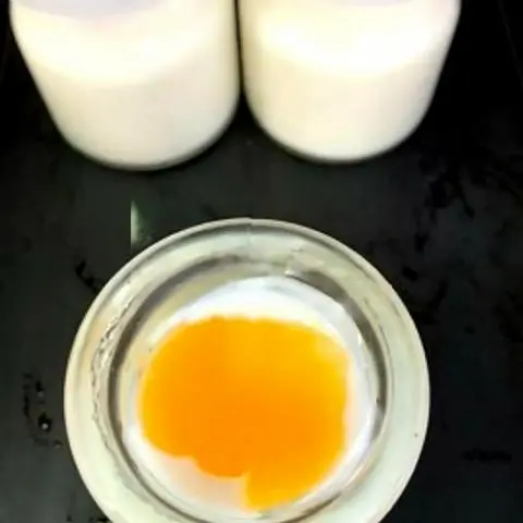 Hình ảnh Yaourt hủ nha đam cam