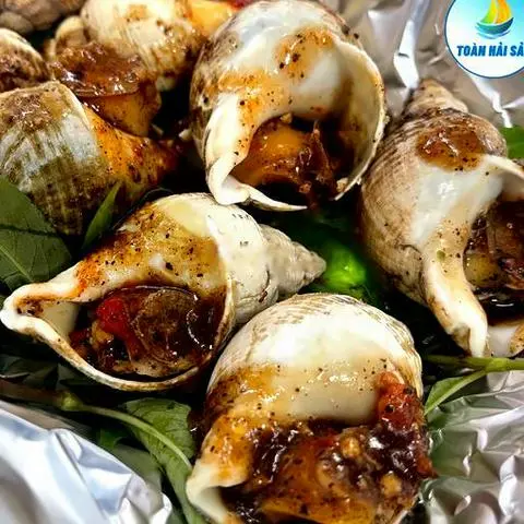 Hình ảnh Ốc Bulot Pháp (500gram)