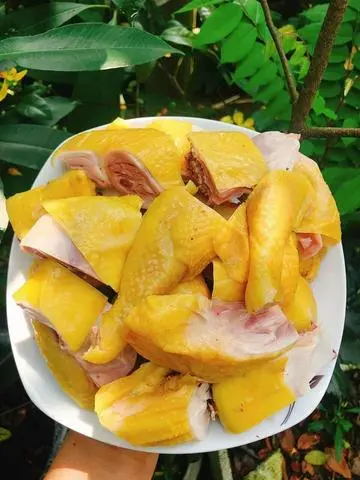 Hình ảnh GÀ Ủ MUỐI HOA TIÊU - ÔM TRỨNG KHÔNG ĐẦU NỬA CON (CHẶT SẴN) ❤️❤️❤️