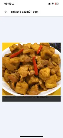 Hình ảnh Thịt kho đậu hũ +cơm