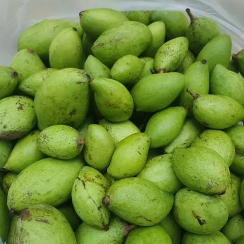 Hình ảnh Xoài nguyên vỏ - 1kg