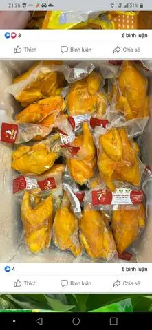 Hình ảnh GÀ Ủ MUỐI HOA TIÊU - ÔM TRỨNG NỬA CON KHÔNG ĐẦU (ĐỂ NGUYÊN) ❤️❤️❤️