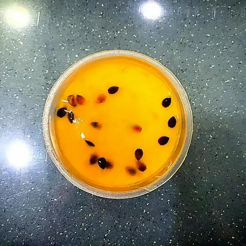 Hình ảnh Panna cotta vị chanh dây