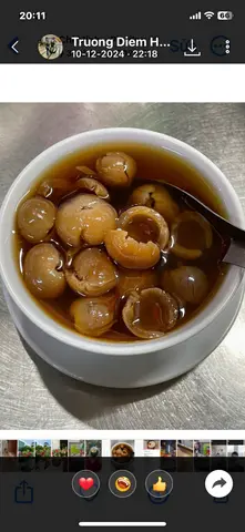 Hình ảnh 29 Nhãn nhục 
