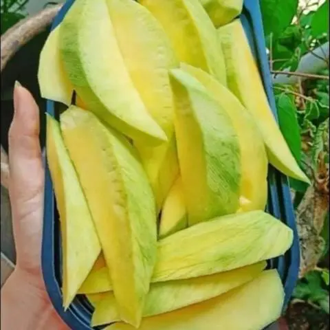 Hình ảnh xoài 400gram + muối
