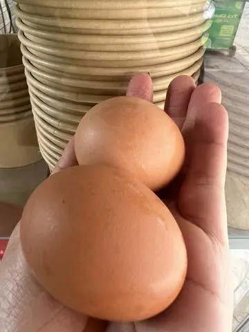 Hình ảnh trứng gà 